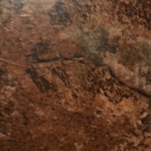 Meet your Posher, Stormi